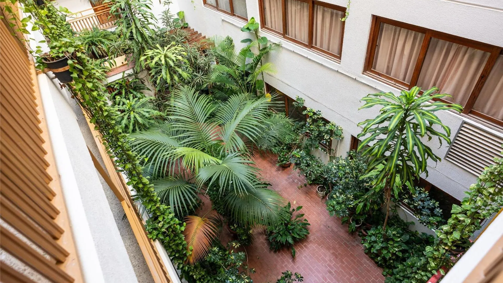 Estudio En El Centro Del Puerto De La Cruz Spagna